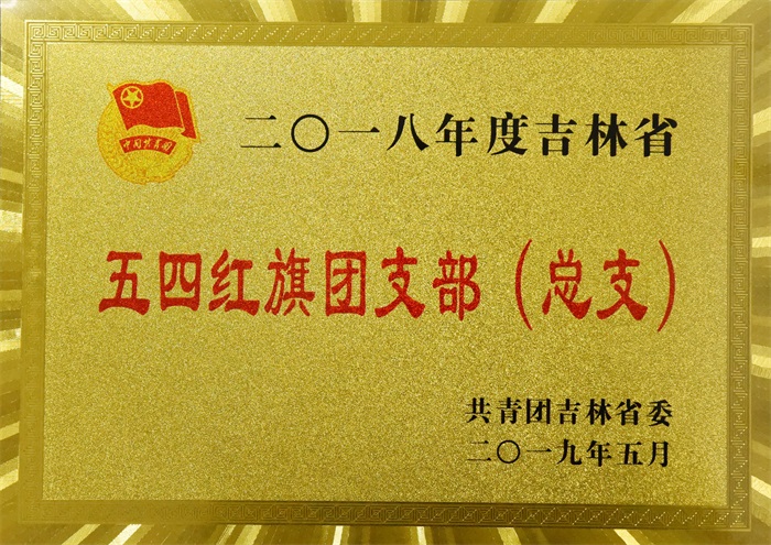 （神农医院内科团支部）五四红旗团总支
