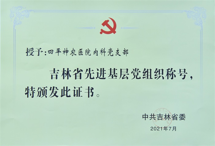 内科先进基层党支部（省级）