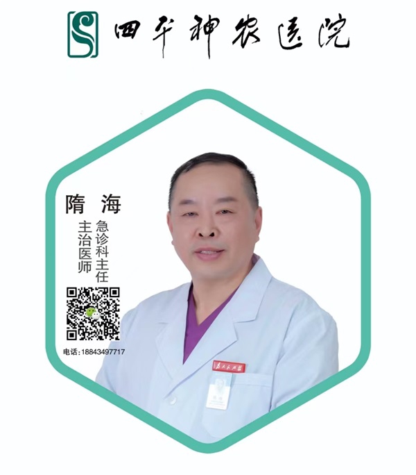 隋海
